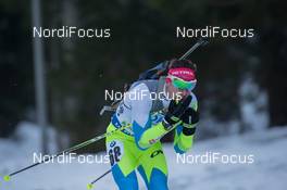 19.12.2014, Pokljuka, Slovenia (SLO): Janez Maric (SLO) - IBU world cup biathlon, sprint men, Pokljuka (SLO). www.nordicfocus.com. © Manzoni/NordicFocus. Every downloaded picture is fee-liable.
