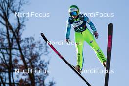 01.02.2014, Hinzenbach, Austria (AUT): Spela Rogelj (SLO), Elan - FIS world cup ski jumping ladies, individual HS85, Hinzenbach (AUT). www.nordicfocus.com. © Laiho/NordicFocus. Every downloaded picture is fee-liable.