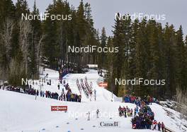 12.03.2016, Canmore, Canada (CAN): a chasing group up the hill   - FIS world cup cross-country, pursuit men, Canmore (CAN). www.nordicfocus.com. © Felgenhauer/NordicFocus. Every downloaded picture is fee-liable.