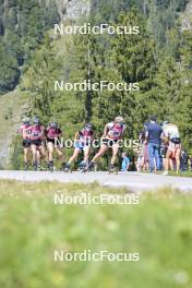 10.09.2023, Ruhpolding, Germany (GER): Josephine Dingelstedt (GER), Alma Siegismund (GER), Luise Thomas (GER), Lea Zimmermann (GER), Charlotte Gallbronner (GER), (l-r) - German Championships biathlon, pursuit women, Ruhpolding (GER). www.nordicfocus.com. © Reichert/NordicFocus. Every downloaded picture is fee-liable.