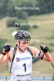 26.08.2023, Brezno-Osrblie, Slovakia (SVK): Osvald Groenning (DEN) - IBU Summer Biathlon World Championships, sprint junior men, Brezno-Osrblie (SVK). www.nordicfocus.com. © Manzoni/NordicFocus. Every downloaded picture is fee-liable.