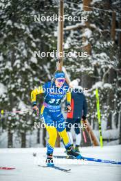 26.11.2023, Oestersund, Sweden, (SWE): Elvira Oeberg (SWE) - IBU World Cup Biathlon, individual women, Oestersund (SWE). www.nordicfocus.com. © Authamayou/NordicFocus. Every downloaded picture is fee-liable.
