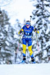 26.11.2023, Oestersund, Sweden, (SWE): Elvira Oeberg (SWE) - IBU World Cup Biathlon, individual women, Oestersund (SWE). www.nordicfocus.com. © Manzoni/NordicFocus. Every downloaded picture is fee-liable.