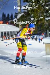 25.11.2023, Oestersund, Sweden, (SWE): Thierry Langer (BEL) - IBU World Cup Biathlon, mixed relay, Oestersund (SWE). www.nordicfocus.com. © Authamayou/NordicFocus. Every downloaded picture is fee-liable.