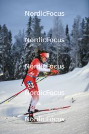 03.12.2023, Oestersund, Sweden, (SWE): Emily Dickson (CAN) - IBU World Cup Biathlon, pursuit women, Oestersund (SWE). www.nordicfocus.com. © Authamayou/NordicFocus. Every downloaded picture is fee-liable.