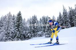 14.12.2023, Lenzerheide, Switzerland (SUI): Elvira Oeberg (SWE) - IBU World Cup Biathlon, sprint women, Lenzerheide (SUI). www.nordicfocus.com. © Manzoni/NordicFocus. Every downloaded picture is fee-liable.