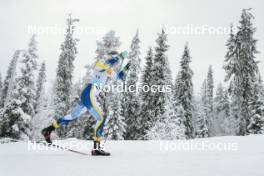 25.11.2023, Ruka, Finland (FIN): Edvin Anger (SWE) - FIS world cup cross-country, 10km, Ruka (FIN). www.nordicfocus.com. © Modica/NordicFocus. Every downloaded picture is fee-liable.