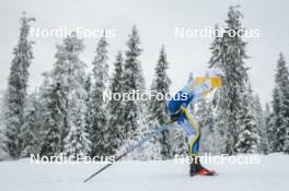 25.11.2023, Ruka, Finland (FIN): Calle Halfvarsson (SWE) - FIS world cup cross-country, 10km, Ruka (FIN). www.nordicfocus.com. © Modica/NordicFocus. Every downloaded picture is fee-liable.