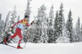 25.11.2023, Ruka, Finland (FIN): Mika Vermeulen (AUT) - FIS world cup cross-country, 10km, Ruka (FIN). www.nordicfocus.com. © Modica/NordicFocus. Every downloaded picture is fee-liable.