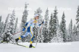 25.11.2023, Ruka, Finland (FIN): William Poromaa (SWE) - FIS world cup cross-country, 10km, Ruka (FIN). www.nordicfocus.com. © Modica/NordicFocus. Every downloaded picture is fee-liable.