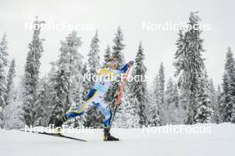 25.11.2023, Ruka, Finland (FIN): Bjoern Sandstroem (SWE) - FIS world cup cross-country, 10km, Ruka (FIN). www.nordicfocus.com. © Modica/NordicFocus. Every downloaded picture is fee-liable.