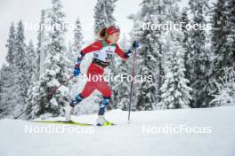 25.11.2023, Ruka, Finland (FIN): Margrethe Bergane (NOR) - FIS world cup cross-country, 10km, Ruka (FIN). www.nordicfocus.com. © Modica/NordicFocus. Every downloaded picture is fee-liable.