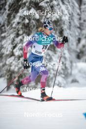 24.11.2023, Ruka, Finland (FIN): Gus Schumacher (USA) - FIS world cup cross-country, individual sprint, Ruka (FIN). www.nordicfocus.com. © Modica/NordicFocus. Every downloaded picture is fee-liable.