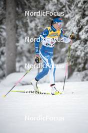 24.11.2023, Ruka, Finland (FIN): Kerttu Niskanen (FIN) - FIS world cup cross-country, individual sprint, Ruka (FIN). www.nordicfocus.com. © Modica/NordicFocus. Every downloaded picture is fee-liable.