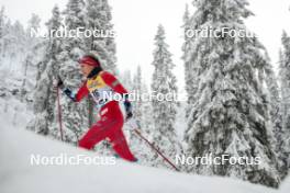 24.11.2023, Ruka, Finland (FIN): Kristine Stavaas Skistad (NOR) - FIS world cup cross-country, individual sprint, Ruka (FIN). www.nordicfocus.com. © Modica/NordicFocus. Every downloaded picture is fee-liable.