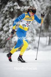 24.11.2023, Ruka, Finland (FIN): Hilla Niemela (FIN) - FIS world cup cross-country, individual sprint, Ruka (FIN). www.nordicfocus.com. © Modica/NordicFocus. Every downloaded picture is fee-liable.