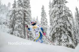 24.11.2023, Ruka, Finland (FIN): Johanna Hagstroem (SWE) - FIS world cup cross-country, individual sprint, Ruka (FIN). www.nordicfocus.com. © Modica/NordicFocus. Every downloaded picture is fee-liable.