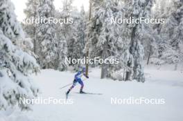 26.11.2023, Ruka, Finland (FIN): Alayna Sonnesyn (USA) - FIS world cup cross-country, mass, Ruka (FIN). www.nordicfocus.com. © Modica/NordicFocus. Every downloaded picture is fee-liable.