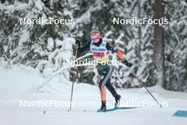 03.12.2023, Gaellivare, Sweden (SWE): Laura Gimmler (GER) - FIS world cup cross-country, relay, Gaellivare (SWE). www.nordicfocus.com. © Modica/NordicFocus. Every downloaded picture is fee-liable.