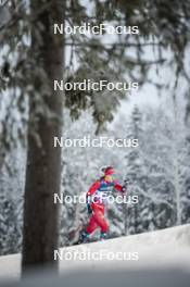 09.12.2023, Oestersund, Sweden (SWE): Ane Appelkvist Stenseth (NOR) - FIS world cup cross-country, individual sprint, Oestersund (SWE). www.nordicfocus.com. © Modica/NordicFocus. Every downloaded picture is fee-liable.