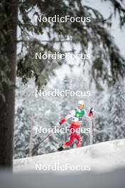 09.12.2023, Oestersund, Sweden (SWE): Maciej Starega (POL) - FIS world cup cross-country, individual sprint, Oestersund (SWE). www.nordicfocus.com. © Modica/NordicFocus. Every downloaded picture is fee-liable.