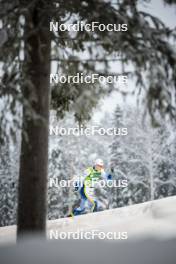 09.12.2023, Oestersund, Sweden (SWE): Edvin Anger (SWE) - FIS world cup cross-country, individual sprint, Oestersund (SWE). www.nordicfocus.com. © Modica/NordicFocus. Every downloaded picture is fee-liable.