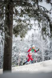 09.12.2023, Oestersund, Sweden (SWE): Johannes Hoesflot Klaebo (NOR) - FIS world cup cross-country, individual sprint, Oestersund (SWE). www.nordicfocus.com. © Modica/NordicFocus. Every downloaded picture is fee-liable.