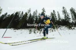 17.12.2023, Trondheim, Norway (NOR): Anna Comarella (ITA) - FIS world cup cross-country, 10km, Trondheim (NOR). www.nordicfocus.com. © Modica/NordicFocus. Every downloaded picture is fee-liable.