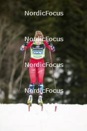 17.12.2023, Trondheim, Norway (NOR): Margrethe Bergane (NOR) - FIS world cup cross-country, 10km, Trondheim (NOR). www.nordicfocus.com. © Modica/NordicFocus. Every downloaded picture is fee-liable.