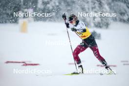 15.12.2023, Trondheim, Norway (NOR): Kitija Auzina (LAT) - FIS world cup cross-country, individual sprint, Trondheim (NOR). www.nordicfocus.com. © Modica/NordicFocus. Every downloaded picture is fee-liable.