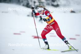 15.12.2023, Trondheim, Norway (NOR): Anna Svendsen (NOR) - FIS world cup cross-country, individual sprint, Trondheim (NOR). www.nordicfocus.com. © Modica/NordicFocus. Every downloaded picture is fee-liable.