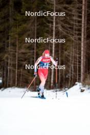 31.12.2023, Toblach, Italy (ITA): Alina Meier (SUI) - FIS world cup cross-country, tour de ski, 10km, Toblach (ITA). www.nordicfocus.com. © Modica/NordicFocus. Every downloaded picture is fee-liable.