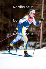 31.12.2023, Toblach, Italy (ITA): Moa Ilar (SWE) - FIS world cup cross-country, tour de ski, 10km, Toblach (ITA). www.nordicfocus.com. © Modica/NordicFocus. Every downloaded picture is fee-liable.