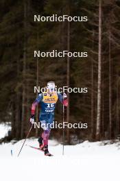 31.12.2023, Toblach, Italy (ITA): Gus Schumacher (USA) - FIS world cup cross-country, tour de ski, 10km, Toblach (ITA). www.nordicfocus.com. © Modica/NordicFocus. Every downloaded picture is fee-liable.