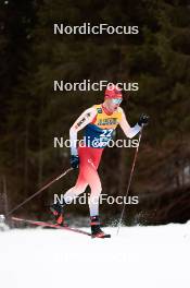 31.12.2023, Toblach, Italy (ITA): Beda Klee (SUI) - FIS world cup cross-country, tour de ski, 10km, Toblach (ITA). www.nordicfocus.com. © Modica/NordicFocus. Every downloaded picture is fee-liable.