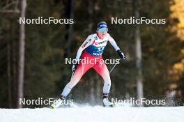 30.12.2023, Toblach, Italy (ITA): Lea Fischer (SUI) - FIS world cup cross-country, tour de ski, individual sprint, Toblach (ITA). www.nordicfocus.com. © Modica/NordicFocus. Every downloaded picture is fee-liable.