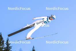 03.12.2023, Lillehammer, Norway (NOR): Daniela Haralambie (ROU) - FIS world cup ski jumping women, individual HS140, Lillehammer (NOR). www.nordicfocus.com. © Authamayou/NordicFocus. Every downloaded picture is fee-liable.