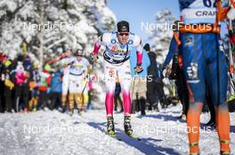 18.02.2023, Groenklitt, Sweden (SWE): Lindvall Christoffer (FIN) - Ski Classics Criterium Orsa Groenklitt - Groenklitt (SWE). www.nordicfocus.com. © Thibaut/NordicFocus. Every downloaded picture is fee-liable.
