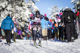 18.02.2023, Groenklitt, Sweden (SWE):  Feature: Athlete competes  - Ski Classics Criterium Orsa Groenklitt - Groenklitt (SWE). www.nordicfocus.com. © Thibaut/NordicFocus. Every downloaded picture is fee-liable.
