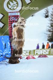 16.12.2023, Val Venosta, Italy (ITA): feature: mascot - Ski Classics La Venosta Criterium - Val Venosta (ITA). www.nordicfocus.com. © Reichert/NordicFocus. Every downloaded picture is fee-liable.