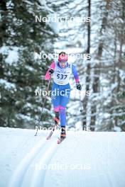 17.12.2023, Val Venosta, Italy (ITA): Saga Nilsson (SWE) - Ski Classics La Venosta ITT - Val Venosta (ITA). www.nordicfocus.com. © Reichert/NordicFocus. Every downloaded picture is fee-liable.