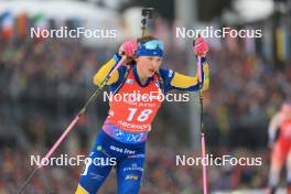 06.01.2024, Oberhof, Germany (GER): Linn Persson (SWE) - IBU World Cup Biathlon, pursuit women, Oberhof (GER). www.nordicfocus.com. © Manzoni/NordicFocus. Every downloaded picture is fee-liable.