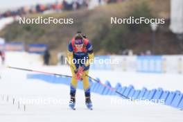 06.01.2024, Oberhof, Germany (GER): Elvira Oeberg (SWE) - IBU World Cup Biathlon, pursuit women, Oberhof (GER). www.nordicfocus.com. © Manzoni/NordicFocus. Every downloaded picture is fee-liable.