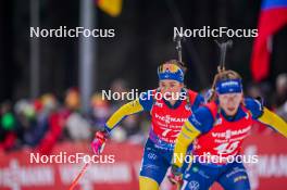 05.01.2024, Oberhof, Germany (GER): Sara Andersson (SWE) - IBU World Cup Biathlon, sprint women, Oberhof (GER). www.nordicfocus.com. © Thibaut/NordicFocus. Every downloaded picture is fee-liable.