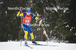 18.01.2024, Antholz, Italy (ITA): Jesper Nelin (SWE) - IBU World Cup Biathlon, short individual men, Antholz (ITA). www.nordicfocus.com. © Thibaut/NordicFocus. Every downloaded picture is fee-liable.