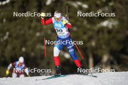 19.01.2024, Antholz, Italy (ITA): Lucie Charvatova (CZE) - IBU World Cup Biathlon, short individual women, Antholz (ITA). www.nordicfocus.com. © Thibaut/NordicFocus. Every downloaded picture is fee-liable.