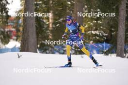 21.01.2024, Antholz, Italy (ITA): Elvira Oeberg (SWE) - IBU World Cup Biathlon, mass women, Antholz (ITA). www.nordicfocus.com. © Thibaut/NordicFocus. Every downloaded picture is fee-liable.