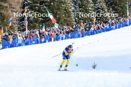 21.01.2024, Antholz, Italy (ITA): Linn Persson (SWE) - IBU World Cup Biathlon, mass women, Antholz (ITA). www.nordicfocus.com. © Manzoni/NordicFocus. Every downloaded picture is fee-liable.