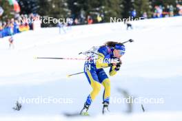 21.01.2024, Antholz, Italy (ITA): Hanna Oeberg (SWE) - IBU World Cup Biathlon, mass women, Antholz (ITA). www.nordicfocus.com. © Manzoni/NordicFocus. Every downloaded picture is fee-liable.