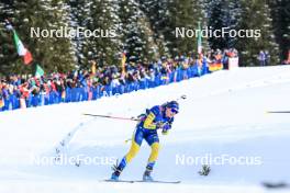 21.01.2024, Antholz, Italy (ITA): Elvira Oeberg (SWE) - IBU World Cup Biathlon, mass women, Antholz (ITA). www.nordicfocus.com. © Manzoni/NordicFocus. Every downloaded picture is fee-liable.
